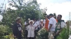 PADI GOGO: Poligonisasi di Sukabumi, Jawa Barat, Dongkrak Produksi Padi Nasional