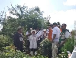 PADI GOGO: Poligonisasi di Sukabumi, Jawa Barat, Dongkrak Produksi Padi Nasional