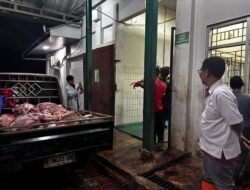 DAGING SAPI: Pantau RPH Cibinong, Jawa Barat, Kementan Jamin Pasokan Aman Jelang Lebaran
