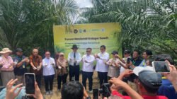 KELAPA SAWIT: Naikkan Produktivitas, Kementan Melepas Serangga Penyerbuk Baru