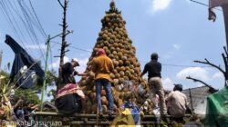 DURIAN: 1.000 Buah Durian Ramaikan Puncak Selamatan Desa Kronto, Kabupaten Pasuruan, Jawa Timur