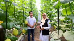 PETANI: Program Regenerasi Petani Berhasil, Kini Banyak Anak Muda Banyuwangi Berkreasi di Pertanian