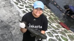 IKAN SAPU-SAPU: Ketika Pemprov DKI Bertekad akan Musnahkan di Semua Lokasi…