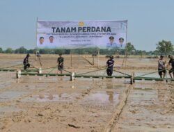 LUMBUNG PANGAN: Pemkab Indramayu Dorong Modernisasi Pertanian dengan Program PM-AAS