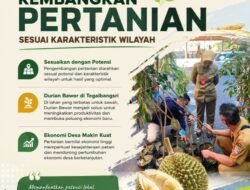 DURIAN BAWOR: Yuhuuuu, Ini Lho Andalan Baru Pengembangan Pertanian di Ranuyoso, Lumajang, Jawa Timur