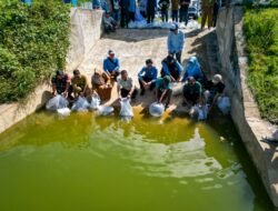 IKAN: Tebar Puluhan Ribu Ekor Benih, Banjarbaru Dorong Ketahanan Pangan Berbasis Perairan