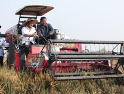 PADI: Panen Raya Bareng Gubernur, Petani Jawa Tengah Bungah Diperhatikan dan Hasil Melimpah