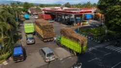 TEBU: Musim Panen di Kabupaten Lumajang, Jawa Timur, Dorong Aktivitas Ekonomi, Kebutuhan Biosolar Ikut Meningkat