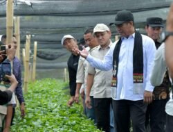 KOPI: Mentan Prioritaskan Pengembangan Kopi Gayo, Aceh Dapat Dukungan 17 Juta Bibit