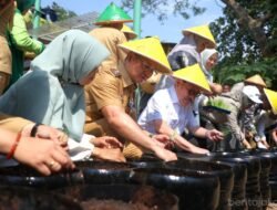 PADI: Ketika Para Pejabat di Jakarta Selatan Menanam Padi di Galon Bekas….