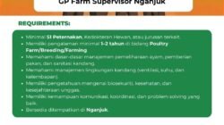 INFO LOKER: Sreeya Cari GP Farm Supervisor untuk Nganjuk, Jawa Timur