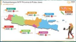 NTP: Petani di Jawa Tengah Semakin Sejahtera, Bulan Juni 2026, NTP Naik Jadi 118,27