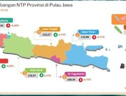 NTP: Petani di Jawa Tengah Semakin Sejahtera, Bulan Juni 2026, NTP Naik Jadi 118,27