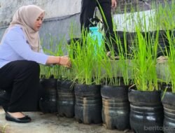 PADI: Budi Daya dalam Botol Galon, Jadi Inovasi Kelurahan Pasar Minggu, Jakarta Selatan