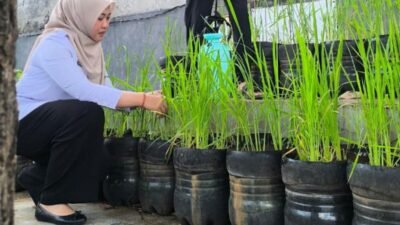 PADI: Budi Daya dalam Botol Galon, Jadi Inovasi Kelurahan Pasar Minggu, Jakarta Selatan