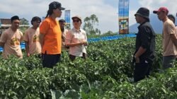 INSPIRASI: 500 Petani Muda Magelang, Jawa Tengah, Belajar Tani Modern