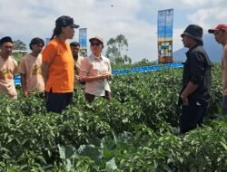 INSPIRASI: 500 Petani Muda Magelang, Jawa Tengah, Belajar Tani Modern