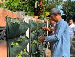 SAYUR: Tanam Bibit di Tembok Kampung, Warga Wirobrajan, Yogyakarta, Wujudkan Ketahanan Pangan