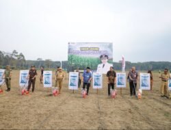 PERTANIAN: Lahan Tidur Seluas 57 Hektare di Banjarnegara, Jawa Tengah, Jadi Sentra Pertanian Terpadu