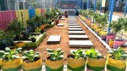 URBAN FARMING: Ketika Lahan Tidur di Malaka Jaya, Jakarta Diubah…