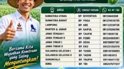JAGUNG: Kemitraan Budi Daya dengan Pabrik Pakan