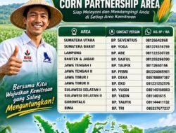 JAGUNG: Kemitraan Budi Daya dengan Pabrik Pakan