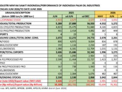 KELAPA SAWIT: Semester Pertama 2026, Kinerja Sawit Positif