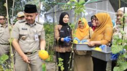 MELON: Sumringah, Bupati Pimpin Panen Melon di RPTRA Tanjung Elang Berseri, Kepulauan Seribu