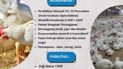 INFO LOKER: PT. Ganesha Satria Nusantara Membutuhkan Technical Support untuk Wilayah Jabar, Jateng dan Jatim