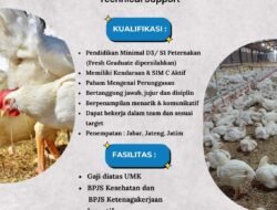 INFO LOKER: PT. Ganesha Satria Nusantara Membutuhkan Technical Support untuk Wilayah Jabar, Jateng dan Jatim