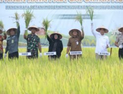 SMART FARMING: Kolaborasi Positif Dongkrak Produktivitas Padi Petani Bungaraya hingga 10 Persen