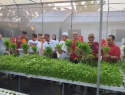 URBAN FARMING: Keren…Panen Serentak di Jakarta Timur Hasilkan 2 Ton