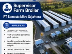 INFO LOKER: PT. Semesta Mitra Sejahtera Mencari Supervisor Farm Broiler untuk Jawa Timur